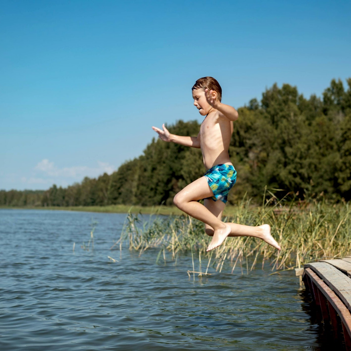 A lake that is fine on bacteria can be dangerous on toxins, and vice versa. Testing one tells you nothing about the other.