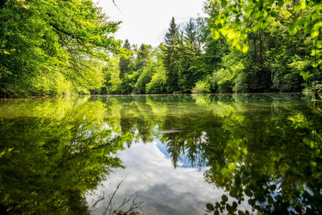The water at the public landing and the water in the quiet cove are not the same lake, and no single grade can tell you that.