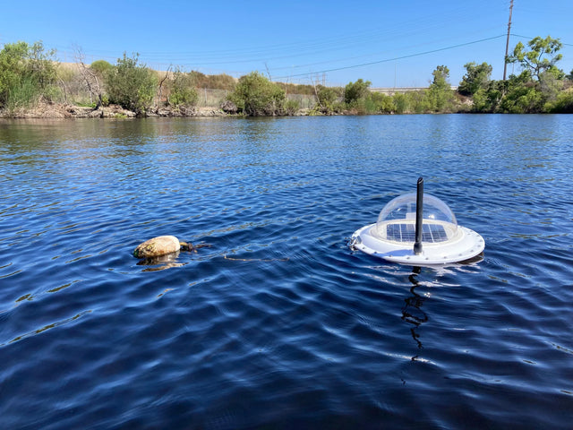 Solar-powered lake water monitoring device floating on water near shoreline, Lake Pulse