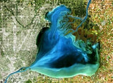 Historical Survey - Algal Blooms