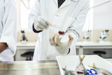 Fish Tissue Metals Test