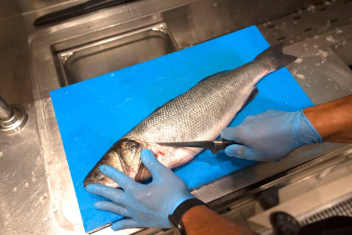 Fish Tissue Metals Test