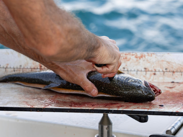 Fish Tissue Test Bundle