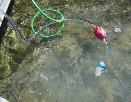 A high volume water pump and tubing setup floating on clear shallow water, with a green hose, gray tubing, a pink float, and a white pump chamber visible, designed for eRNA surveying. 