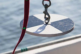 Secchi disk