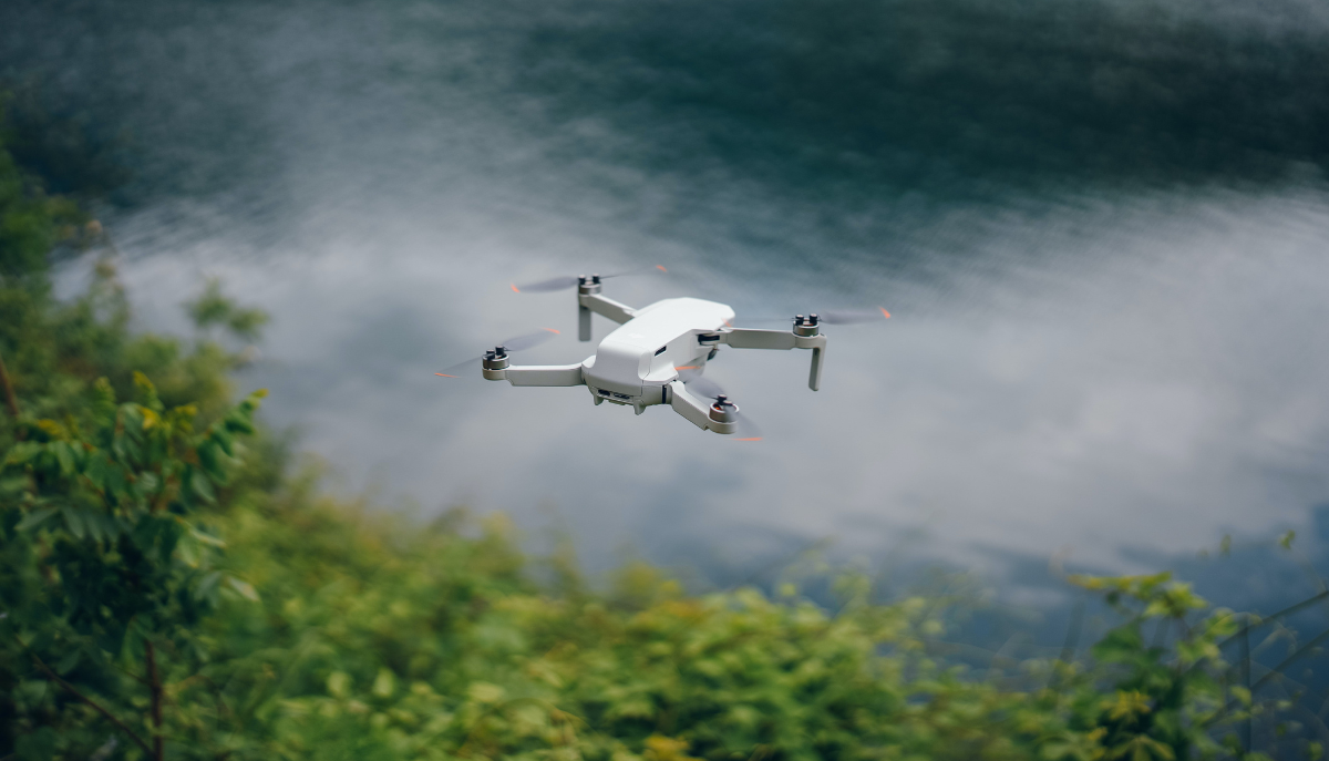 Invasive/Native Weed Drone Survey