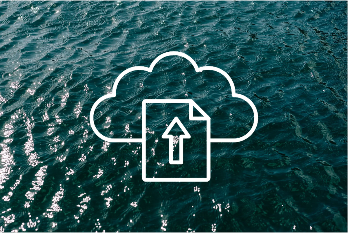 Data Extraction & Upload (30-min Consultation Call)
